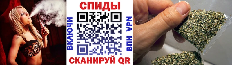 БУТИРАТ буратино  ОМГ ОМГ tor  Гусев 