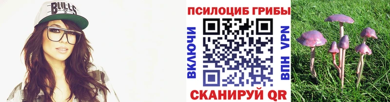 Галлюциногенные грибы Psilocybe  Гусев 