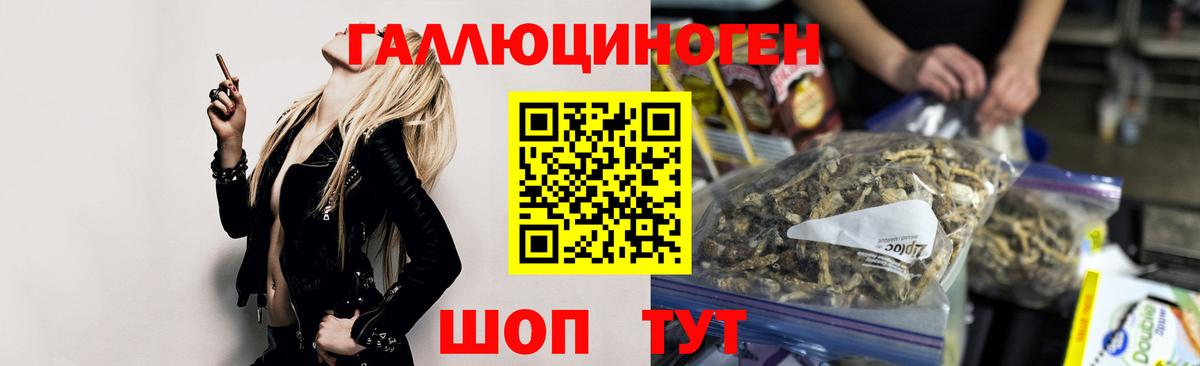 Гусев  Псилоцибиновые грибы MAGIC MUSHROOMS  Вход с VPN  Псилоцибиновые грибы мицелий 